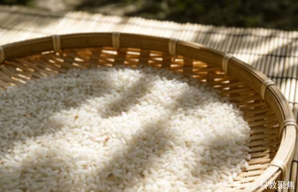 大量的人造米流入市场(大量人造米流入市场，成本只要几毛钱？提醒：4种大米，真要少吃)