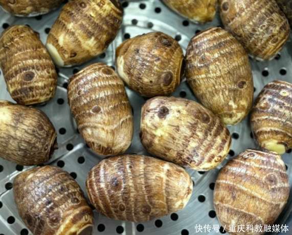 山药，萝卜靠边站，这才是“地下宝”！一补钾、二瘦身，三强体质