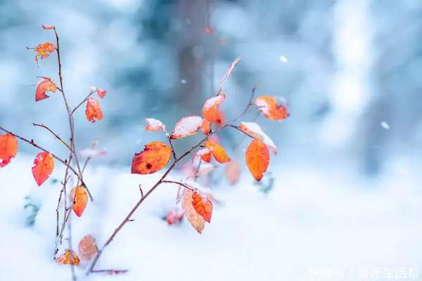 “大雪四不吃，吃了人难安”？12月7大雪，有什么讲究？建议都看看