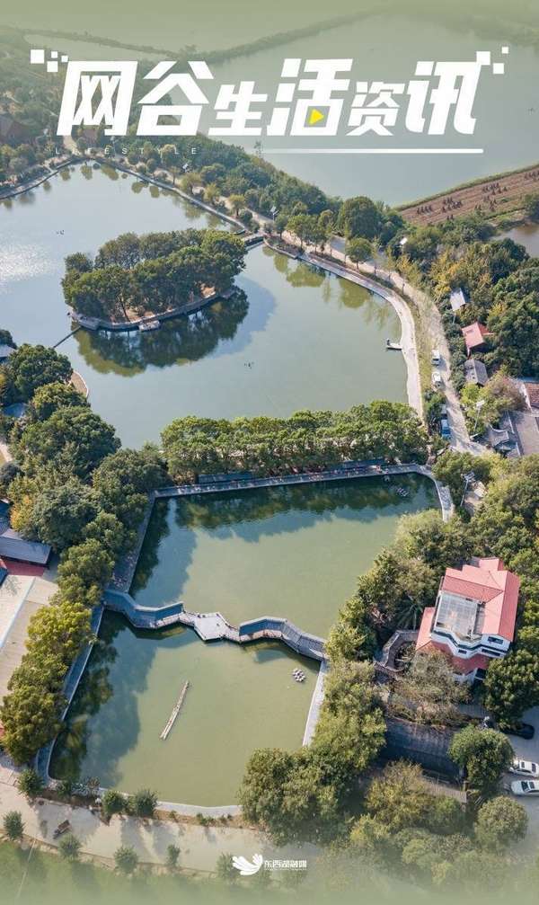 年味伴新春东西湖(东西湖这里，找到了“年味”)