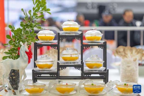 重庆巴南奇石展会(重庆巴南：特色展销人气旺激发消费新活力)