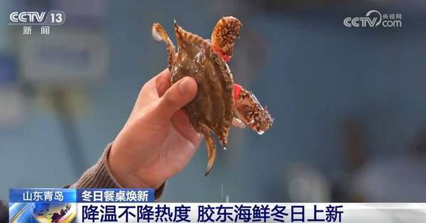 “蓝色粮仓”丰盈助力百姓冬日餐桌轮番“上新”新体验解锁老集市“新滋味”