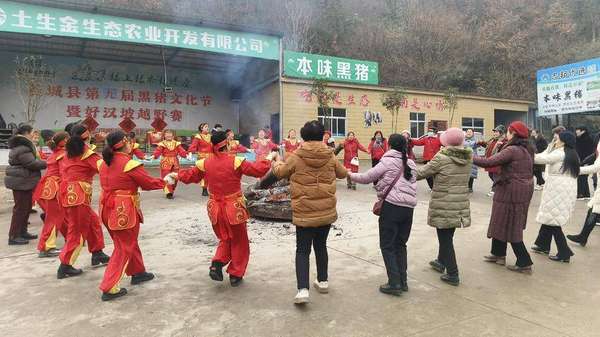 年味“鲜”声夺人！谷城盛康镇黑猪文化节火热启幕