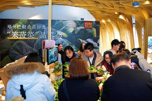 巴奴火锅笨菠菜介绍(巴奴鉴“笨”：一口菠菜，藏着匠心与农民致富路)