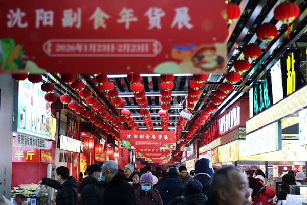 四喜丸子集体照(特写：四喜丸子里的人间烟火)