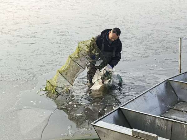 “夏日限定”变身春节“网红”