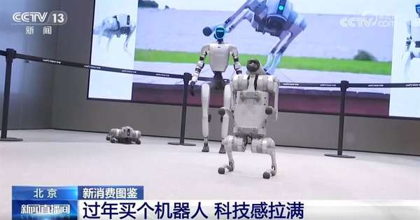 “科技感”“数字链条”“国潮符号”点亮新消费图鉴年货消费向新向智、文化味浓