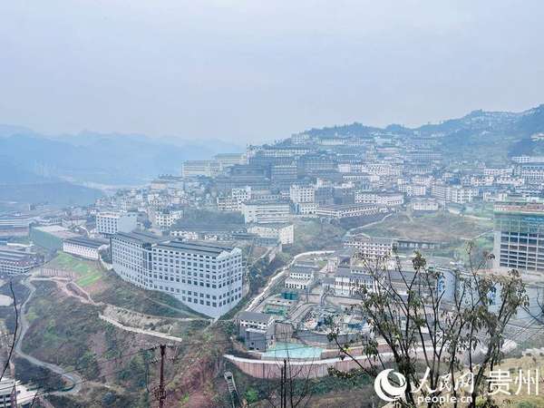 在酒里生活(在“酒都”慢品生活)