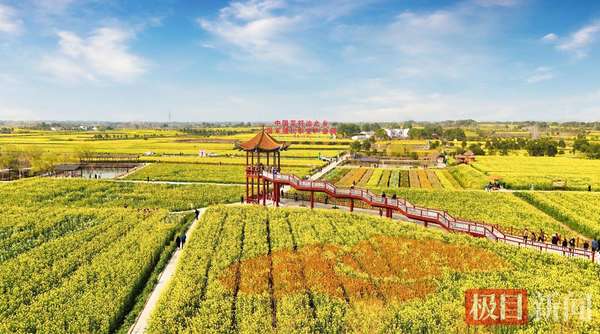 20000元现金大奖等你来拿(2万元大奖！召唤“油”才的你)