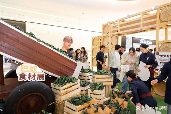 巴奴火锅笨菠菜介绍(巴奴“笨菠菜”甜出圈：一场从田间到商圈的乡村振兴实践)