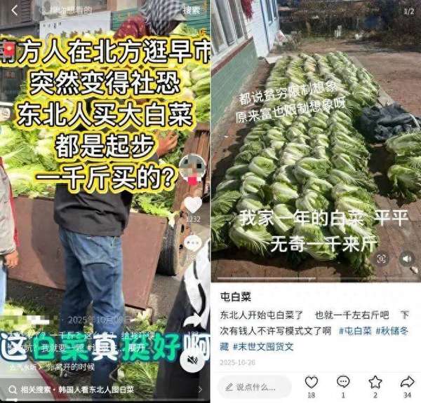 真的想问：北方人囤的几百斤白菜，吃完了吗？