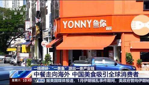 一条鱼投资价值(“一条鱼”畅游东南亚：加盟商揭秘“鱼你模式”)