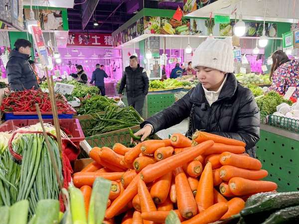 新春走基层老年人打太极(新春走基层｜00后女孩“上门代厨”：88元做三菜一汤，享受做菜带来的“心流状态”)