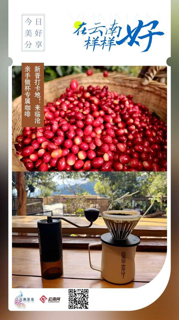 新晋打卡点(新晋打卡地！来临沧亲手做杯专属咖啡丨在云南样样好)