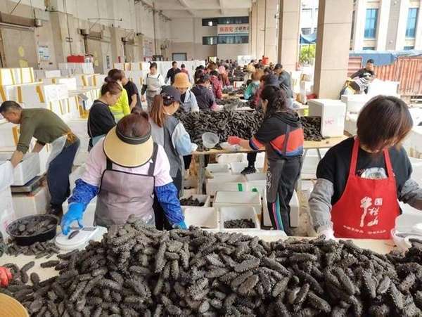 佛跳墙寻常百姓家(美味佛跳墙“跳”入百姓家)