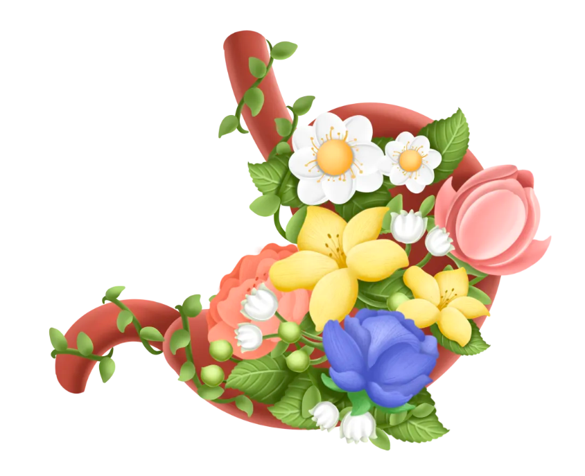 护好胃，真的能让你瘦下来！| 国际护胃日