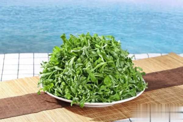 这个季节好吃的饺子馅(这“冬季限定饺子馅”我求了好久！荠菜正当季，鲜嫩营养)