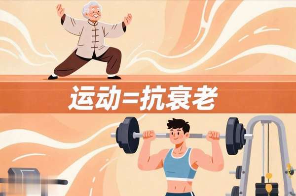 研究显示每周运动三次延长寿命(研究发现多做4个运动可抗衰老，让大脑更灵活！)