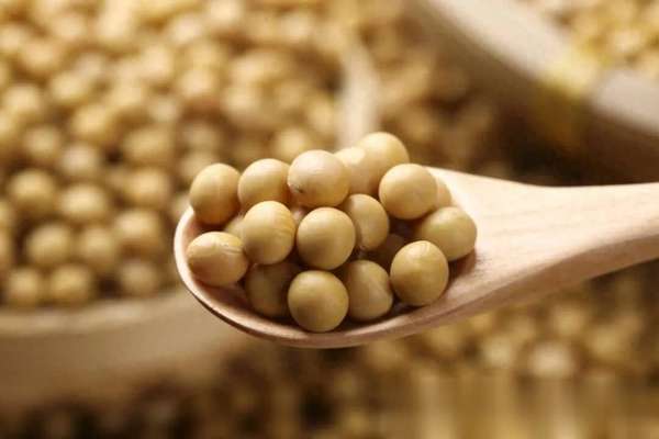 控制尿酸吃什么食物(控制尿酸吃对了吗？高尿酸与痛风饮食攻略来袭)