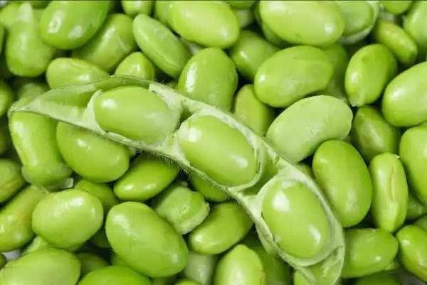 经常吃毛豆的好处与坏处(医生发现常吃毛豆可能有6大好处，毛豆再次受关注！)