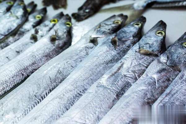 冬天怕冷身上暖不过来(冬天怕冷没力气？餐桌这“海鱼三兄弟”！高蛋白低脂肪，越吃越暖)