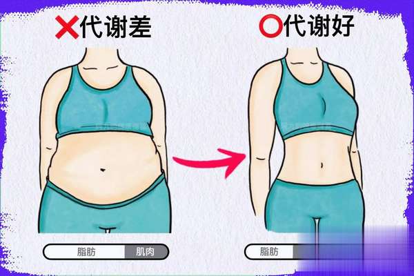 易瘦体质后天养成方法(易瘦体质可后天养成，提高代谢真相并非疯狂有氧)