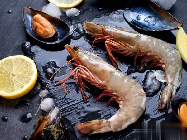 易寒体质怎么调理(易病体质过冬指南：3样高蛋白家常做法，“吃”出扎实免疫力)