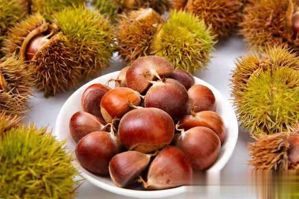 板栗是心脏“刺客”？医生：不想心脏受累，4种坚果别吃