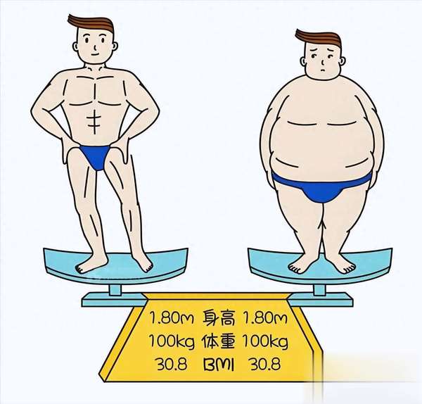 揭秘体重秤“说谎”原因：减脂与减重的根本区别