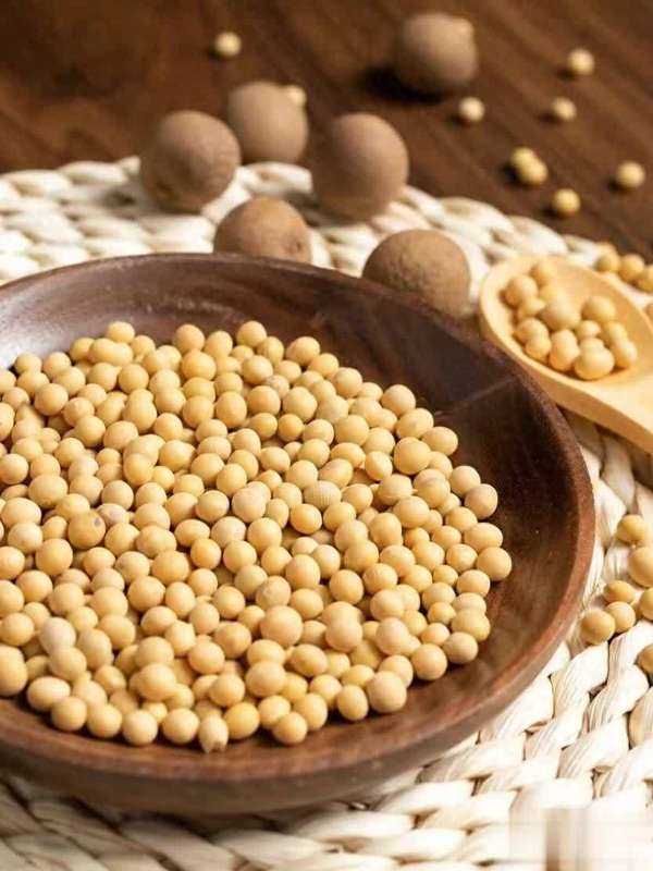 五豆焕肤术：古法新吃解锁脏腑养生秘诀