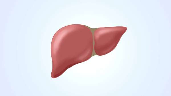 肝血少吃什么补最快(肝血少、睡眠差？多吃这4样食物，滋补肝血、安神助眠、身体倍棒)