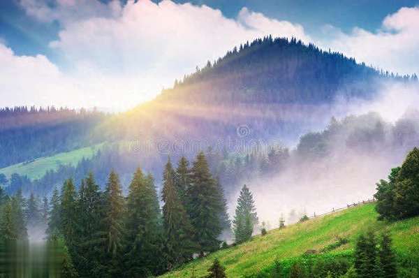 人老了最聪明的活法(人老了，最聪明活法：活好这一个字)