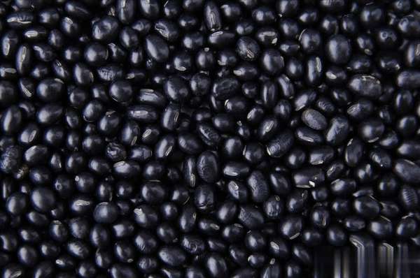 冬季补肾，黑色食物的天然滋养之道