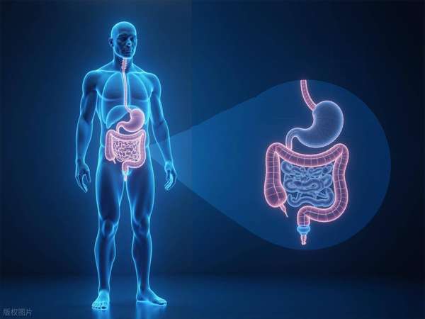 五更泻与肠易激的区别(肠易激、久泻、五更泻，一温阳良方补脾肾固肠道止泻)