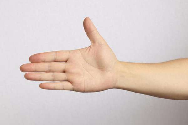 揉开手上的穴位(揉开手上阳气窝，管全身疼痛，补肝血亮眼睛从头补到脚)