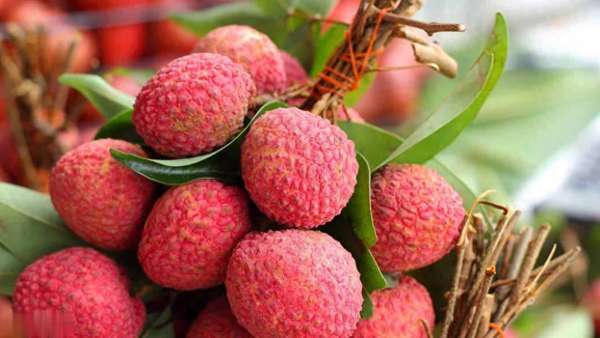 医生提醒少吃荔枝(医生提醒：荔枝吃对适量，身体或有4大变化，吃对了就是宝！)