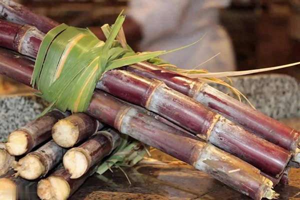 糖尿病人吃甘蔗注意4点，轻松控糖不翻车