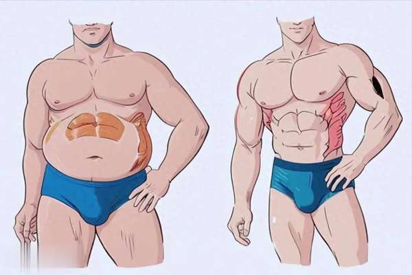减脂误区大揭秘：28天高效减脂方案