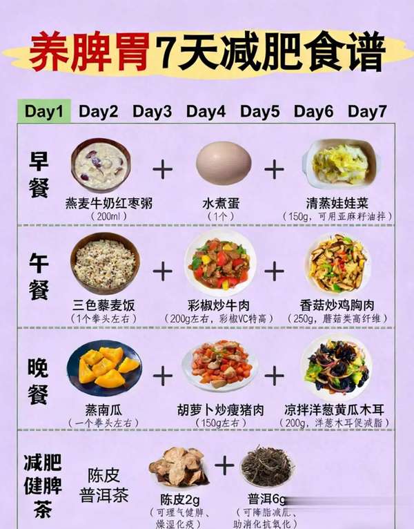 养脾胃减肥的食谱(养脾胃7天减肥食谱吃饱掉秤两不误)
