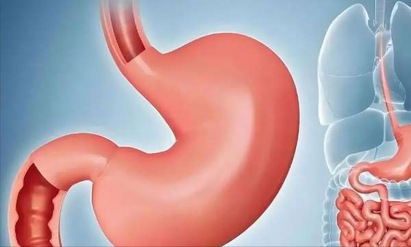 脾胃好百病消！常吃5道健脾菜，祛湿养血扫病气