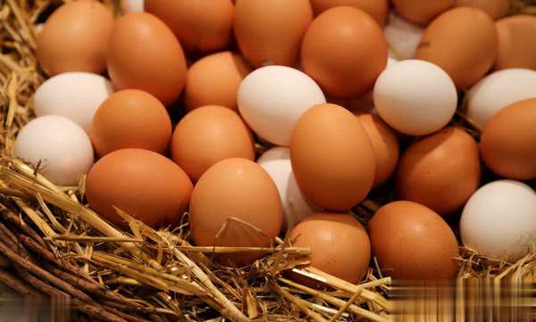 常吃开水冲鸡蛋身体会怎么样(常吃“开水冲鸡蛋”，身体会有啥变化？你咋看？)