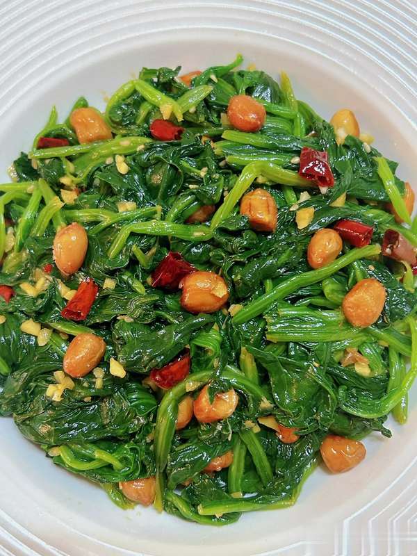 关注老年健康饮食宣传视频(关注中老年健康，餐桌上的“叶酸密码”不容忽视！)