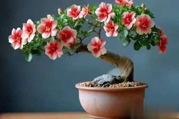 女人不显老的七件事(一个女人不显老的7个小秘诀)