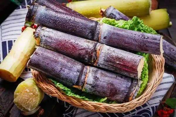 甘蔗长得慢是什么原因(研究发现：甘蔗或对3种慢性病有益，可常吃！)