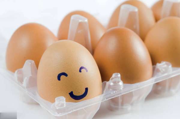 早餐只吃鸡蛋喝牛奶可以吗(早餐只吃鸡蛋喝牛奶能提高抵抗力？真相来了)