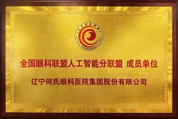 何氏眼科国际合作(何氏眼科加入全国眼科联盟人工智能分联盟助力眼健康服务智能化升级)
