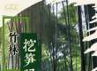 文旅新探｜竹林挖笋记