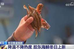 “蓝色粮仓”丰盈助力百姓冬日餐桌轮番“上新”新体验解锁老集市“新滋味”