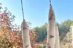 网友晒“九肥一瘦”香肠，被调侃可以当蜡烛用！