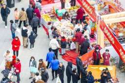 2026武汉经开区好车美食年俗年货消费季军山专场举行